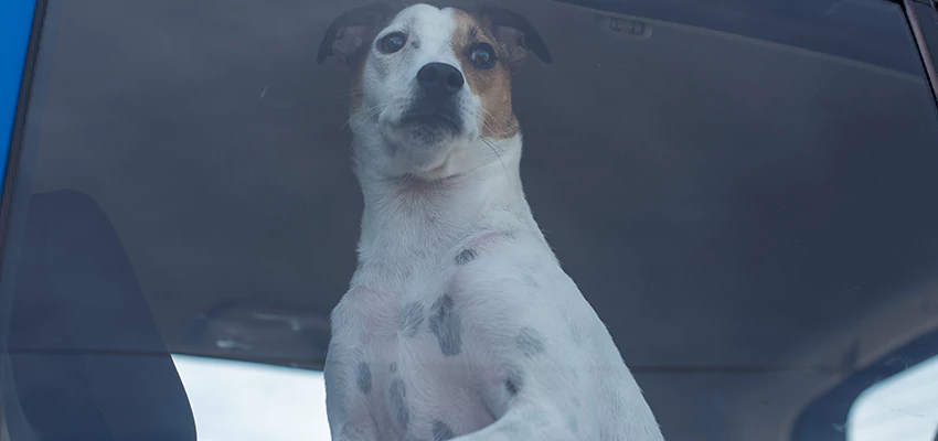 Car Lockout Solutions in Fullerton, California