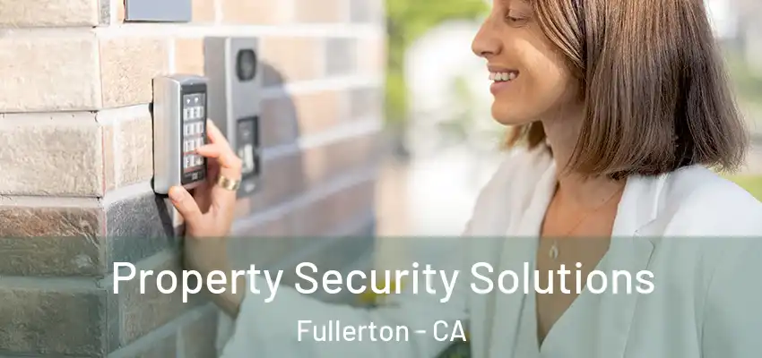  Property Security Solutions Fullerton - CA